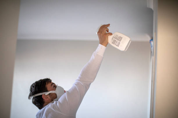 Best Same-Day Mold Removal  in Orland, CA
