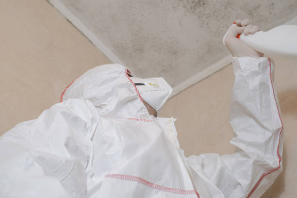 Best Mold Damage Repair  in Orland, CA