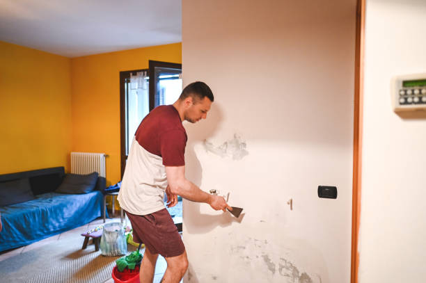 Best Residential Mold Removal  in Orland, CA